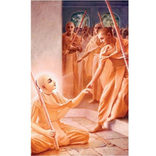 Cargar imagen en el visor de la galería, Sri Caitanya Caritamrta (Edición lujo) 4 tomos.